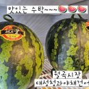 대성야채과일 네이버블로그