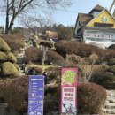 벅스패밀리 | 광주패밀리랜드 벅스랜드 후기｜곤충만 있는줄 알았는데 동물천국이었어요