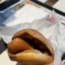 벗삼다 | 더워도 너무 더운 7월말 | 울산 | 게타상스 • 표식 • 바베큐장 청운 • 온양 애기소 계곡 • 대운산...