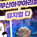 비와이컴퍼니 이미지