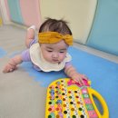 선두목장 이미지