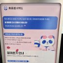 별빛백도 | [서면] 부산 첫 차백도 오픈런 후기 with 우롱 라떼