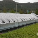 강진6호 이미지