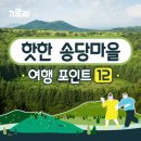 송당송당 이미지