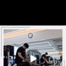 제스트핏 피티샵 이미지