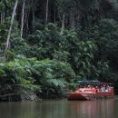 우림카써비스 이미지