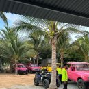 현지목장 | 나트랑 판랑 사막 투어 지프 양떼목장 포롱자라이 현실 후기