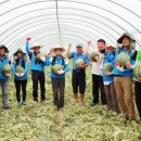 쌍정2리 이미지