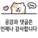 경주탕 네이버블로그
