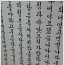 죽정초 Daum카페