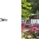 성주 산그늘펜션 이미지