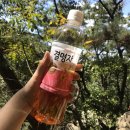 미니스톱 서울대입구점 | 등산초보의 관악산 후기 (서울대입구-연주대정상-사당역 코스)🏔제목없음