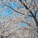 맥도생태공원 이미지