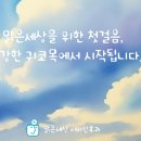 지선메디칼 이미지