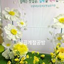 대창초등학교병설유치원 이미지