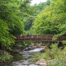 둥둥목장 이미지