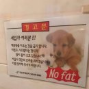 청정도시