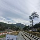 서들1길 | 경북 문경시 마성면 대형카페 가볼한 곳 사진찍기 명소 카페서들