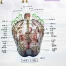 현대신발 - 전주시 완산구 태평5길 60 | 현대신발