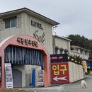 필무인텔 이미지