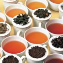 홍차 티클래스 이미지