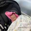 큰바구니 | 다이치 블리바 바구니카시트 실사용 후기