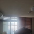 완월동135 이미지