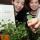 클로버기획