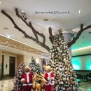 띵킹 독(Thinking Dog) 이미지