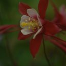 바위섬소도 이미지