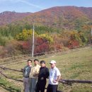 재환농장 이미지