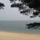서포리 물량장 공중화장실 | 덕적도 워크숍에 다녀와서