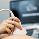 납운동화장실 이미지