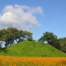 월지농장 이미지