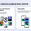 연향로 네이버블로그