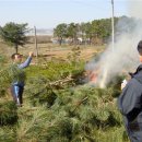 기동반-20 이미지