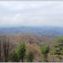 스카이스포츠타운 | 춘천 가볼만한곳 춘천삼악산스카이워크 후기 운치 있는 장소