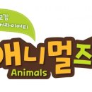 애니멀즈 이미지