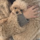 NEW째즈노래연습장 | 정신없이 바쁜 날들 속 남해 가족여행, 와일드덕칸틴, 프레드릭 아폴로바 팝업, 레스토랑 산