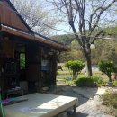 엄마와 까치집 두개 이미지