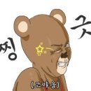 어니스트 동물병원 이미지