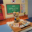 동천유치원 - 북구 | 동천동 애견유치원 추천 믿고 맡길 수 있는 옐레드 수지동천점 오픈 후기