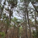 명정고개길 이미지