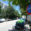 주정차-19 이미지