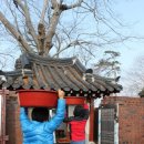 당목마을 당제 이미지