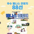 송송 스테이 | 주말에 뭐하지? 웰니스 즐길래!
