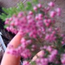 기동농장 이미지