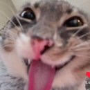 아주1로 | [삼수 일기]12. 아주 많이 늦은 2026 수능 후기! (1편)