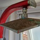 금빛크린 이미지