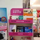 태평약국 이미지